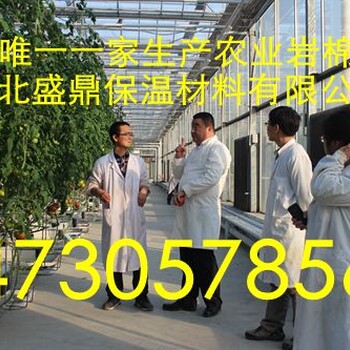 芜湖市无土栽培农业用岩棉板盛鼎源厂家生产