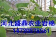 南阳市农业大棚种植用岩棉块等岩棉栽培基质