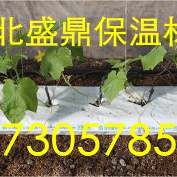 周口市盛鼎大量批发生产农业岩棉农用岩棉栽培基质