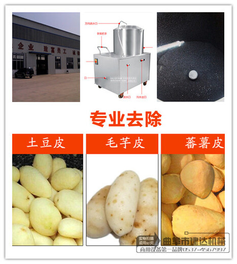 济南马铃薯脱皮机小型土豆脱皮机生产厂家
