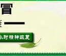 鸡张口呼吸支气管栓塞、喉气管炎特效药——冰雄散图片