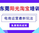 东莞阳光淘宝培训美工设计电商运营店铺装修摄影拍图美工外包店铺