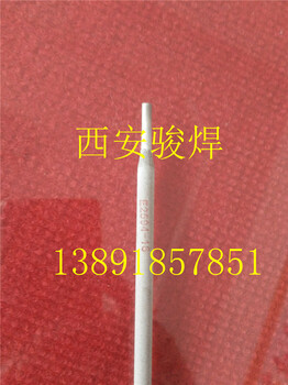 2209不銹鋼焊條