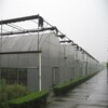 江蘇專業承接薄膜拱棚安裝持久耐用
