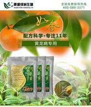 如金品牌种植专用原液种植菌剂芹菜种植图片