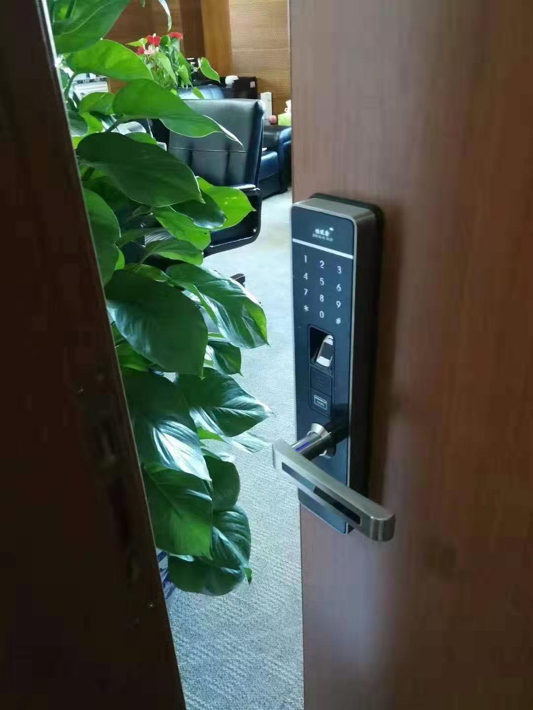 1577154945067794900-0.jpg