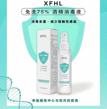 免洗酒精消毒液旅行小瓶裝可隨身攜帶100毫升容量批發(fā)零售