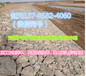 青海河道生态护坡防洪单隔板钢丝石笼10%锌铝合金PVC