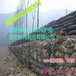 湖南钢丝笼河道护坡防洪钢丝笼热镀锌覆塑PVC生态格网