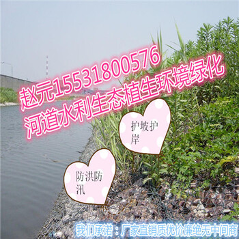 水利防洪防汛重型六角石籠/拋石防護(hù)六角石籠網(wǎng)箱堤岸搶修
