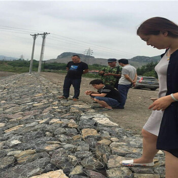 生態(tài)格賓石籠廠家水利固堤護坡筑壩圍堰堤防加固