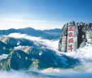 深圳去山东台儿庄古城、曲阜孔府、泰山双飞五日游图片