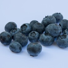 加拿大進口藍莓酒報關流程