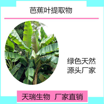 天瑞芭蕉叶提取物芭蕉叶速溶粉