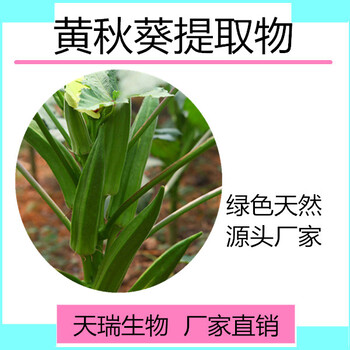 天瑞黄秋葵提取物黄秋葵粉厂家现货批发