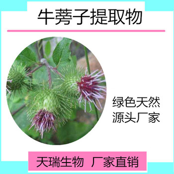 天瑞生物牛蒡子甙20%-50%牛蒡子提取物