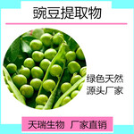 天瑞生物豌豆蛋白粉80%豌豆提取物豌豆粉