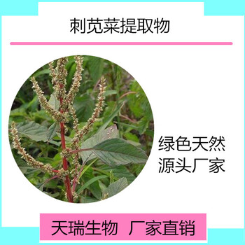 白苋菜提取物刺苋菜提取物白苋菜粉刺苋菜速溶粉天瑞生物