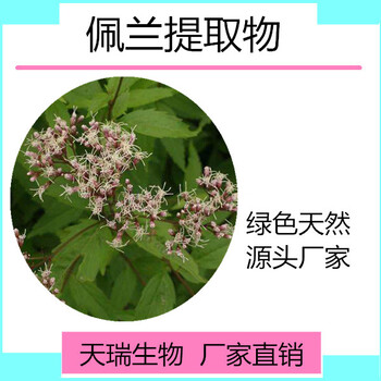 佩兰提取物10:1天瑞生物