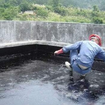 谢岗水池防水补漏，谢岗雨棚整体防水补漏，谢岗洗手间防水堵漏