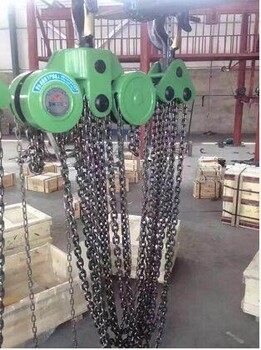 五吨十米环链电动葫芦价格