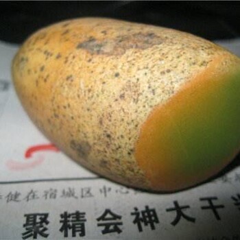 夜明珠隕石收