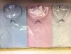 新派威新款男士商务时尚韩版修身撞色领短袖衬衫