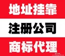 低价代理广州市越秀、荔湾、番禺、南沙区商标注册，商标续展,商标设计图片