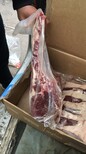 烟台牛羊肉批发牛腱子批发排腱批发羊排批发黄瓜条批发图片5