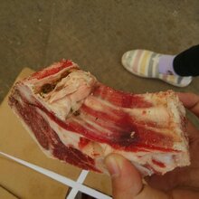 牛腩,战斧牛排,牛板筋批发牛板筋,西冷,牛棒骨批发图片