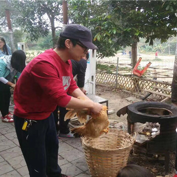 惠州农家乐周边农庄野炊趣味cs一日游