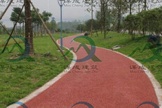 选择：泰州彩色混凝土道路--如何做图片1