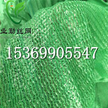 北京工地盖土网批发1.5针-6针工程绿化盖土网图片2