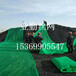 四川建筑工地蓋土網2.5針防塵網綠化環保網遮陽網
