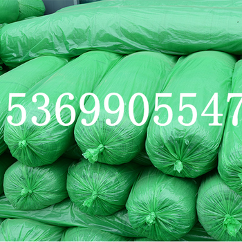 厂家供应施工工地防尘网2.5针绿色黑色盖土网遮阳网质量