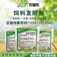 想用豆饼喂猪怎样处理长的快不生病图片