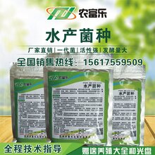 水产EM菌种养螃蟹的哪个牌子的好图片