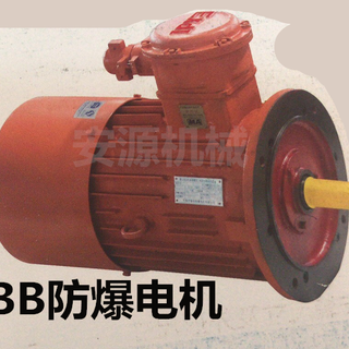 陕西榆林耙斗装岩机用爆型三相异步电动机YBB系列电机图片3