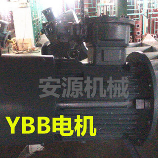陕西榆林耙斗装岩机用爆型三相异步电动机YBB系列电机图片6
