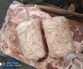 济南牛柳板筋牛腩牛排羊排国产羊产品批发