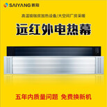 赛阳AFS-25M远红外电热幕高温瑜伽房采暖设备电热风幕取暖器商用电加热采暖器图片0