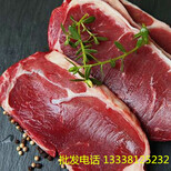 宏德邦牛排厂家：诚招甘肃贵州区域代理商生产半成品牛排图片5
