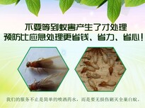 黄浦区浴场消灭老鼠，松江区防鼠图片5