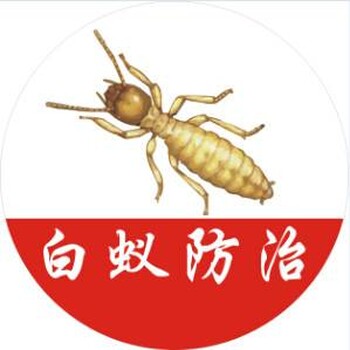 闵行区驱白蚂蚁公司，宝山区除白蚁公司