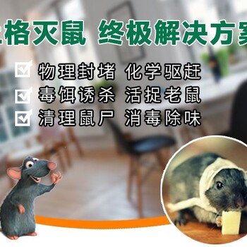 上海公司抓老鼠，奉贤区灭鼠价格