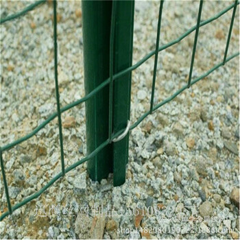 园林封闭网，美观的金属网，临汾绿色护栏网厂家