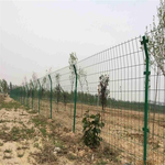 绿色铁丝网隔离栅A1.8米高景区防护围栏