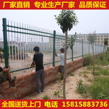 东莞工厂围墙栏杆定做别墅铁艺护栏价格外围锌钢栅栏安装图片1