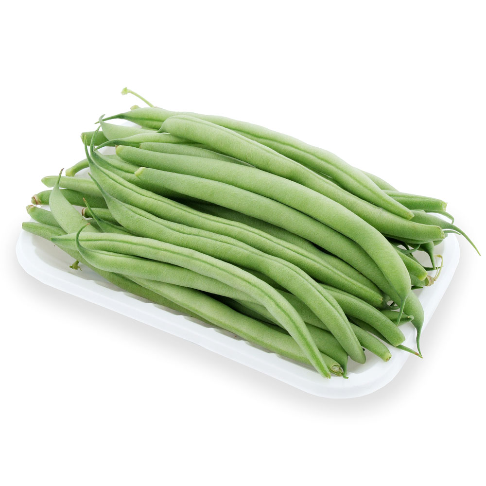 森冉生物刀豆提取物101大刀豆提取物挟剑豆提取物