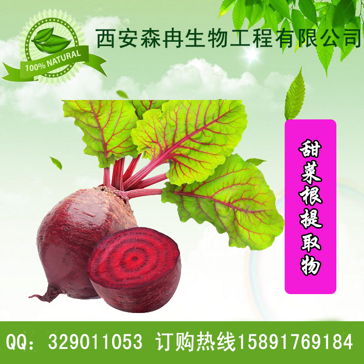 甜菜根提取物10:1/菾菜提取物/甜菜头提取物/糖萝卜提取物